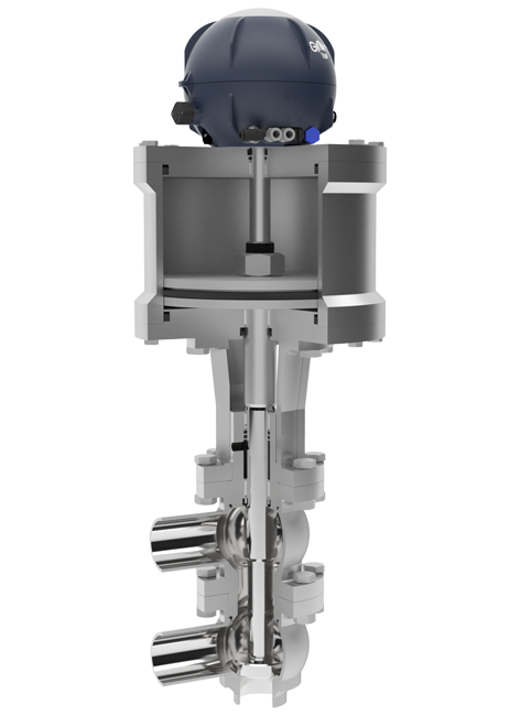 Bardiani (巴典尼）